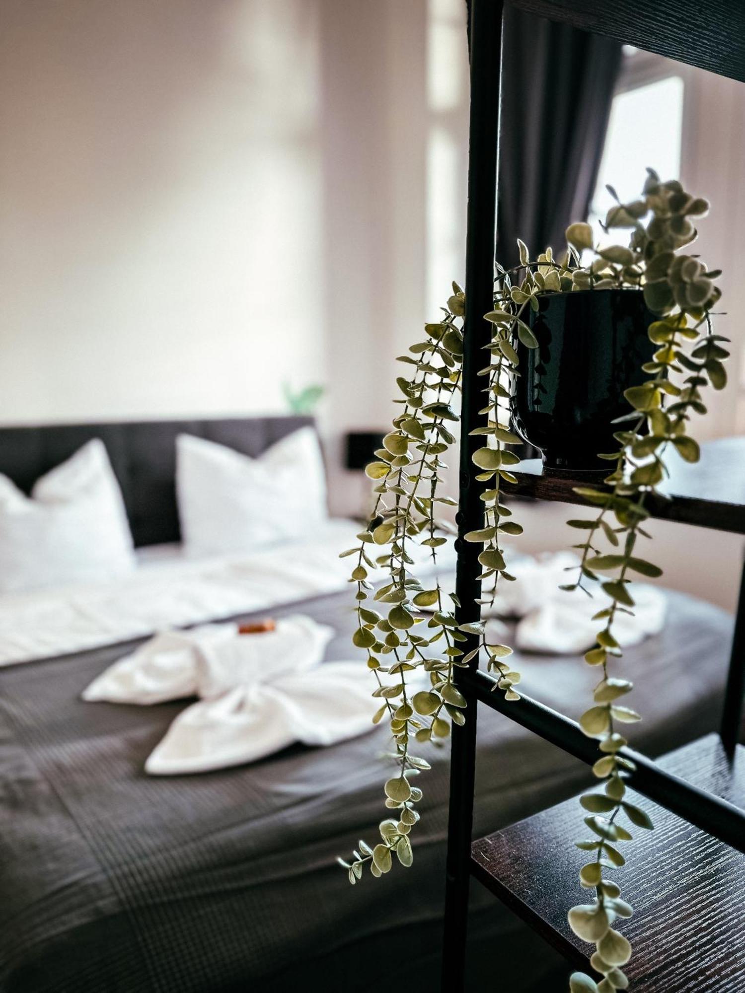 Oasis Appart - Wohnen Im Koenigspark - Elbhang Dresden - Grosse Terrasse - Netflix - Tg Ngoại thất bức ảnh