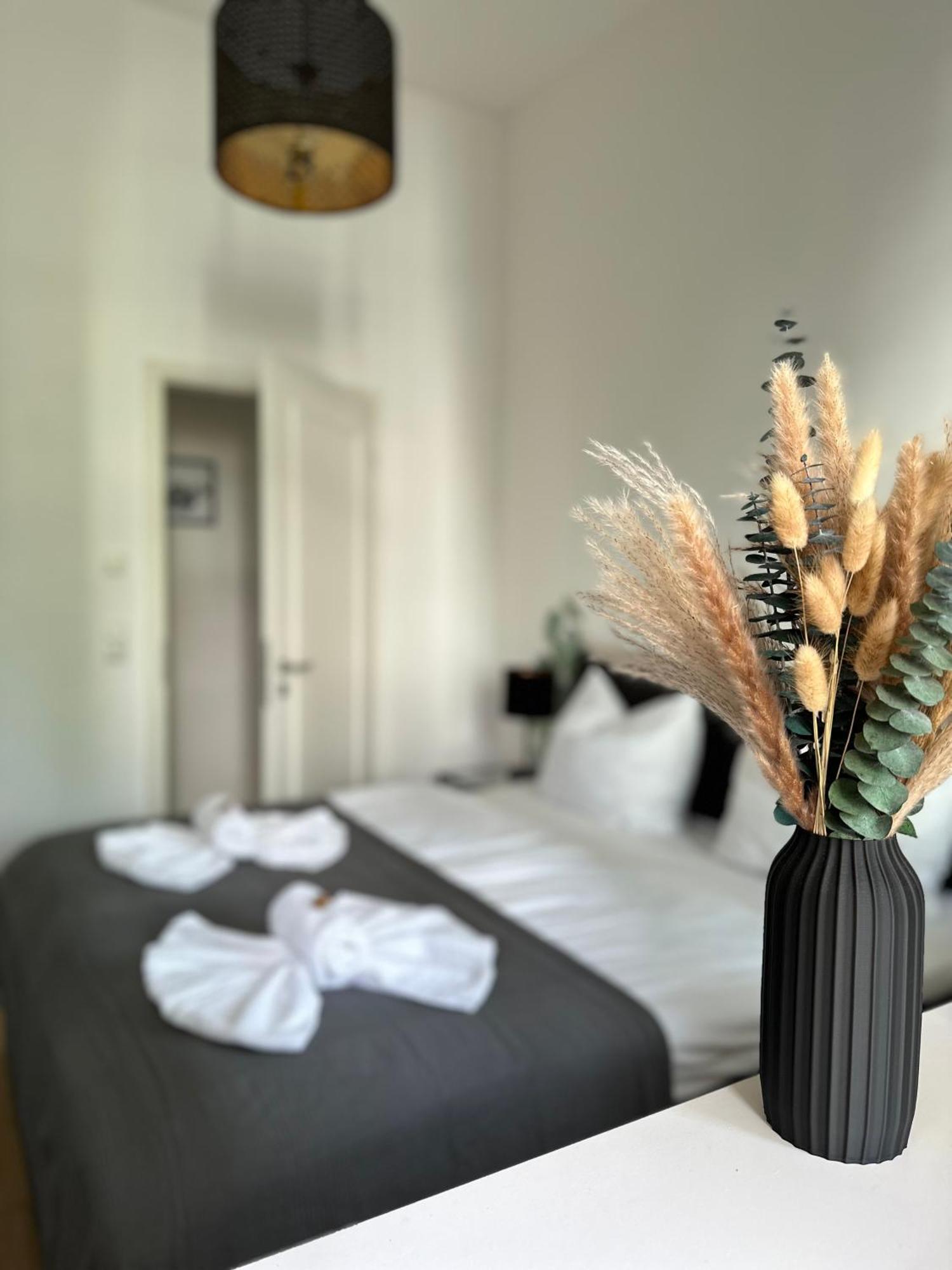 Oasis Appart - Wohnen Im Koenigspark - Elbhang Dresden - Grosse Terrasse - Netflix - Tg Ngoại thất bức ảnh