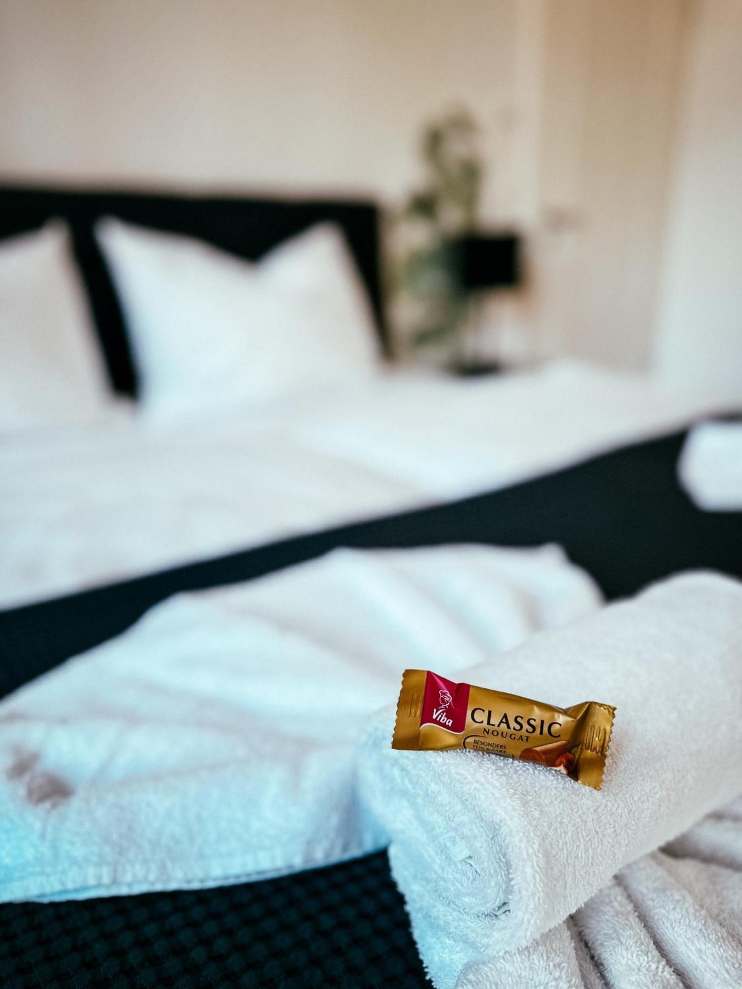 Oasis Appart - Wohnen Im Koenigspark - Elbhang Dresden - Grosse Terrasse - Netflix - Tg Ngoại thất bức ảnh