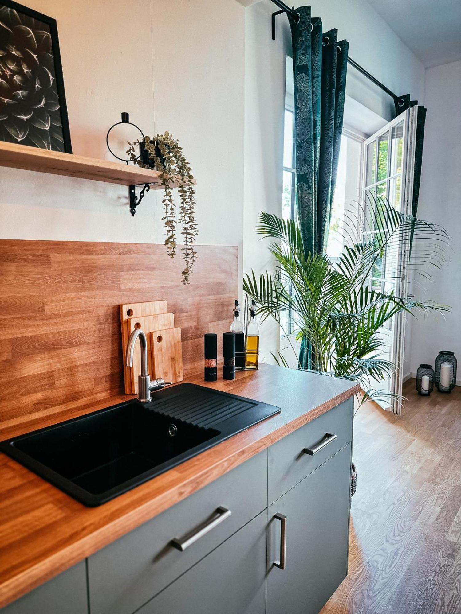 Oasis Appart - Wohnen Im Koenigspark - Elbhang Dresden - Grosse Terrasse - Netflix - Tg Ngoại thất bức ảnh